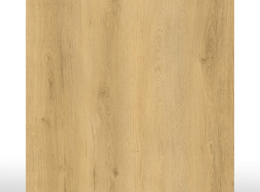 SPC Essence | Royal Oak